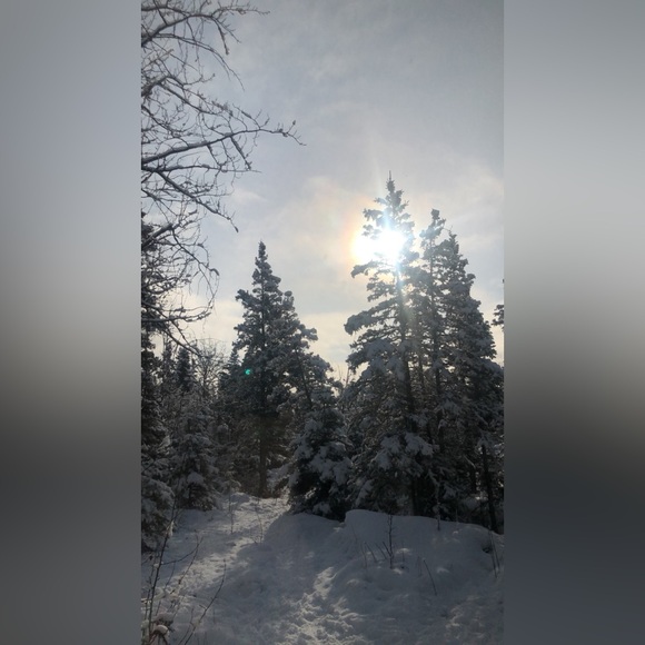 Alaska - Picture 4 of 14